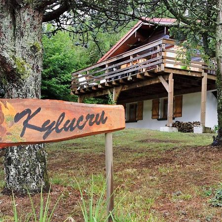 Chalet Kylucru 6 Personnes Classe 2 Etoiles Villa Xonrupt-Longemer Kültér fotó